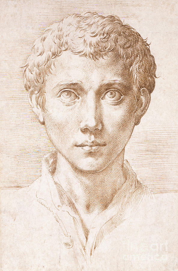 Head Of A Young Man Looking Up Drawing by Parmigianino