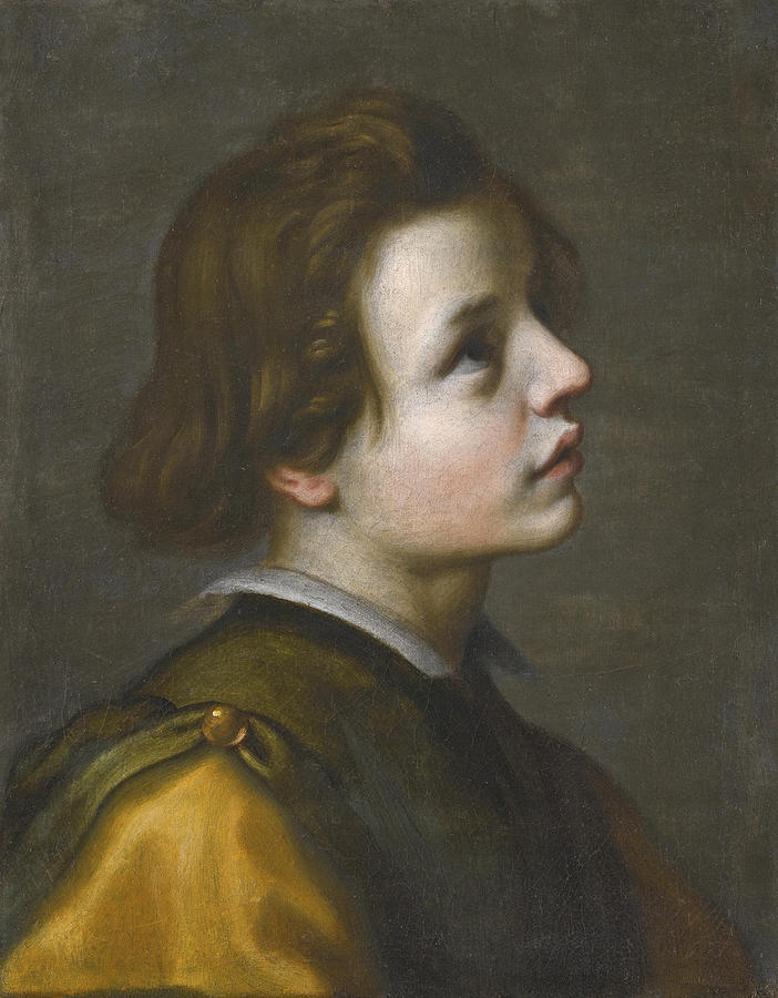 Young Girl Painting - Head of a Youth by Francesco Curradi
