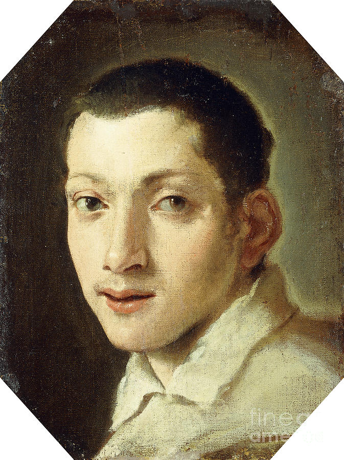 Head Of A Youth Painting by Ludovico Carracci