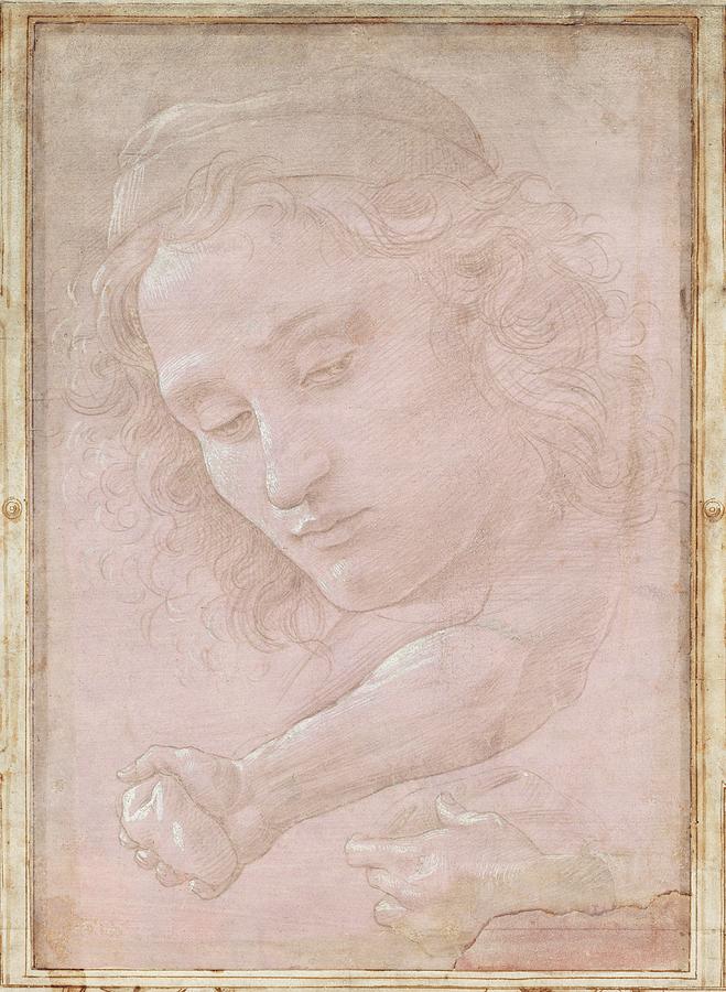 Portrait Drawing - Head Of A Youth Wearing A Cap; A Right Forearm by Sandro Botticelli