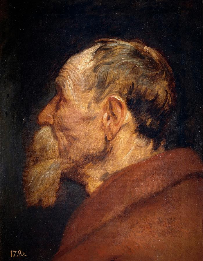 Head of an Old Man, 1618-1620, Flemish School, Oil on paper, 45 cm x 34 cm, ... Painting by Anthony van Dyck -1599-1641-