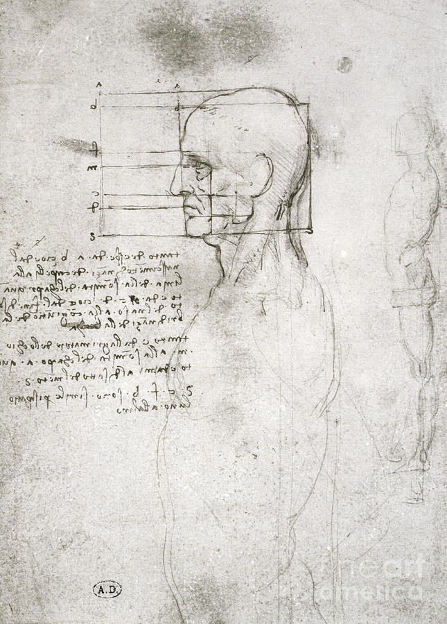 Head Of An Old Man In Profile, Facsimile Copy Drawing by Leonardo Da ...