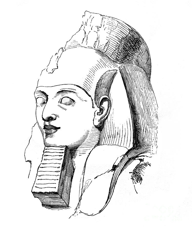 Head Of Rameses, 1848 Drawing by Print Collector