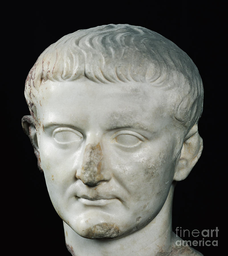 Portrait Sculpture - Head of Tiberius  by Roman School