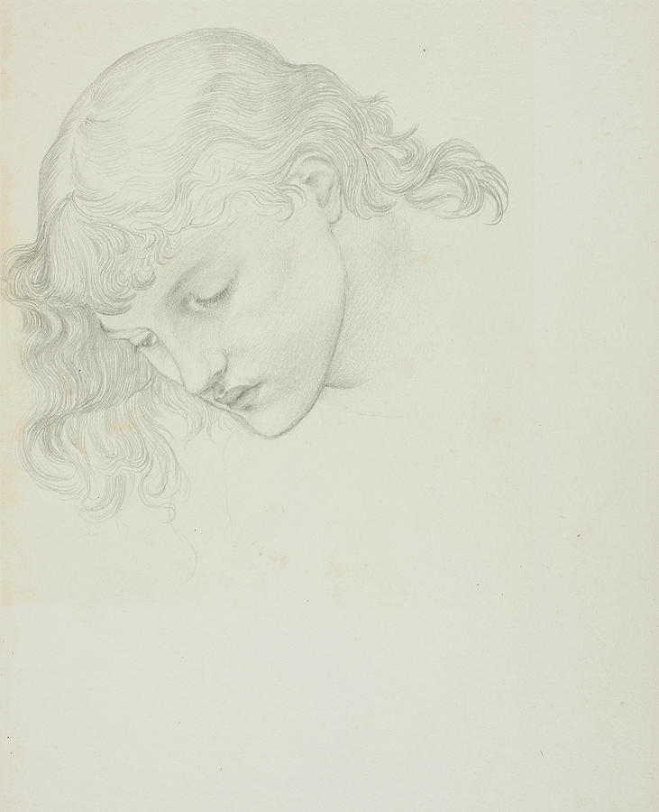 Head, Study for Mirror of Venus Drawing by Edward Burne-Jones