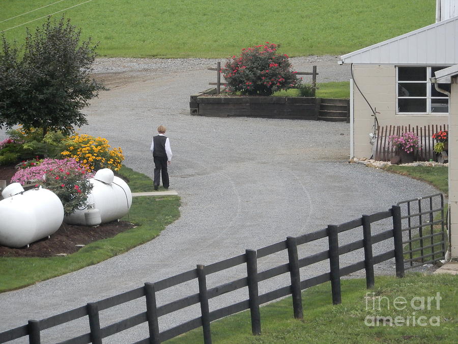 Heading to the Barn for Church Preparations Photograph by Christine Clark