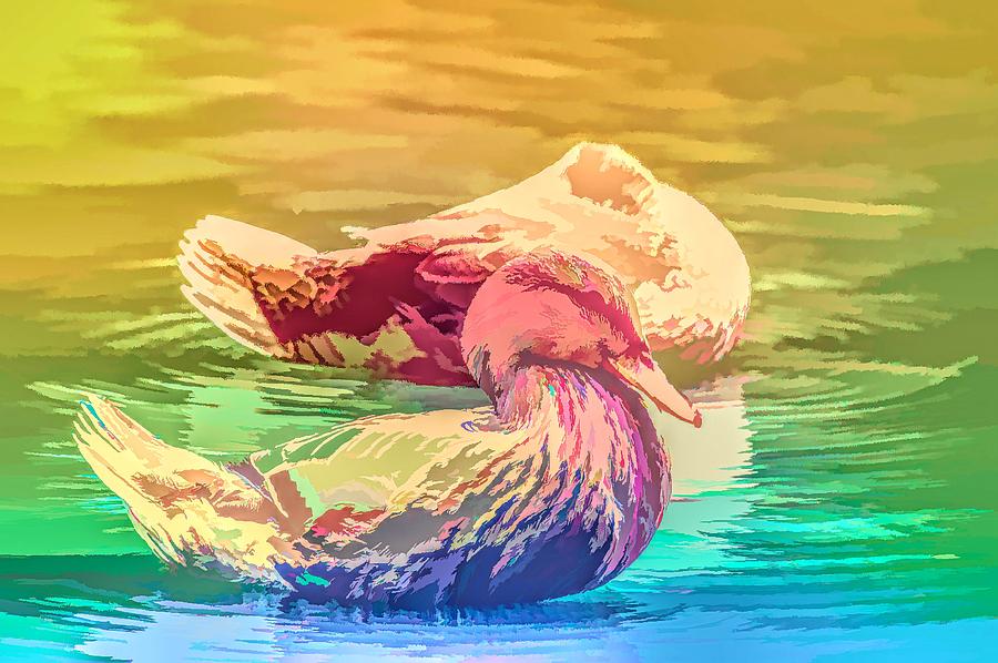 Headless Honey Duck Rainbow Photograph by Don Northup
