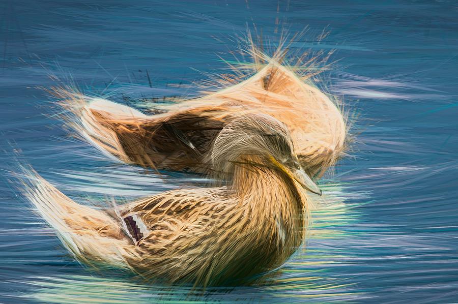 Headless Honey Duck Smear Photograph by Don Northup