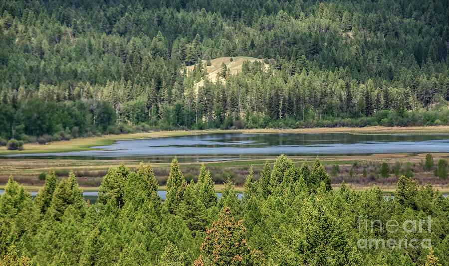 Canada Photograph - Headwater Of The Columbia River by Robert Bales Canada Photograph - Headwater Of The Columbia River by Robert Bales
