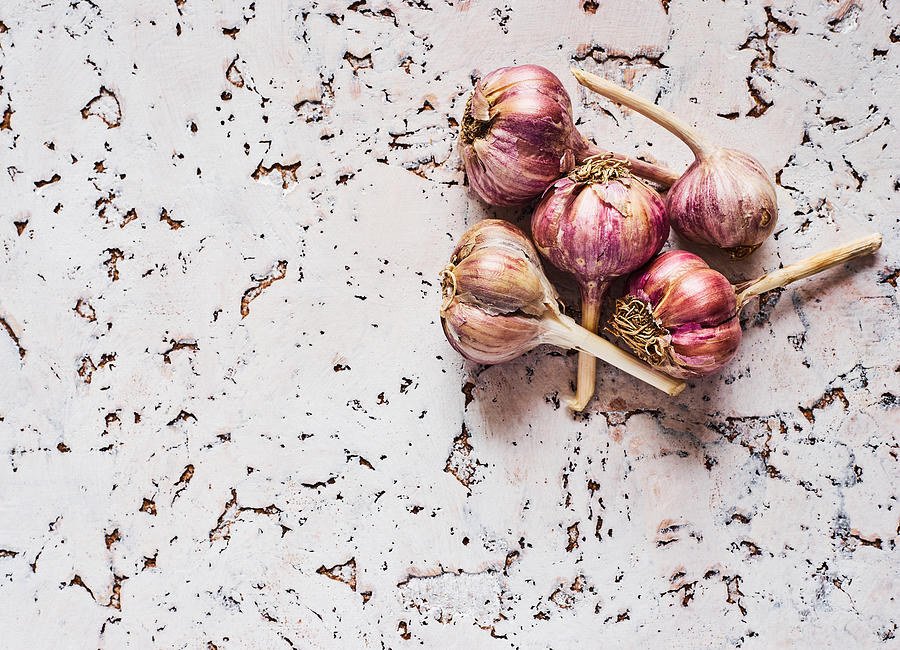 Vegetable Photograph - Healthy Garlic by Aleksandrova Karina