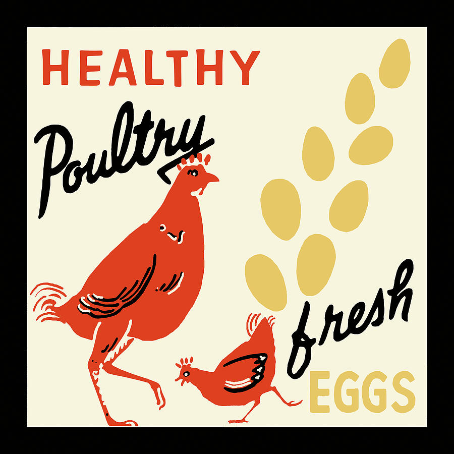 Chicken Photograph - Healthy Poultry-fresh Eggs by Retro Series