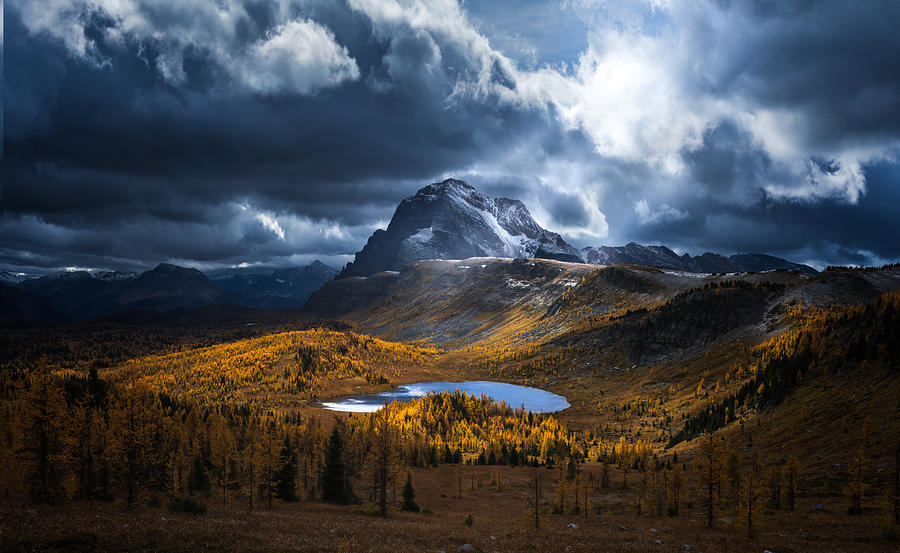 Banff National Park Photograph - Healy Pass Golden Time by Yongnan Li ?????