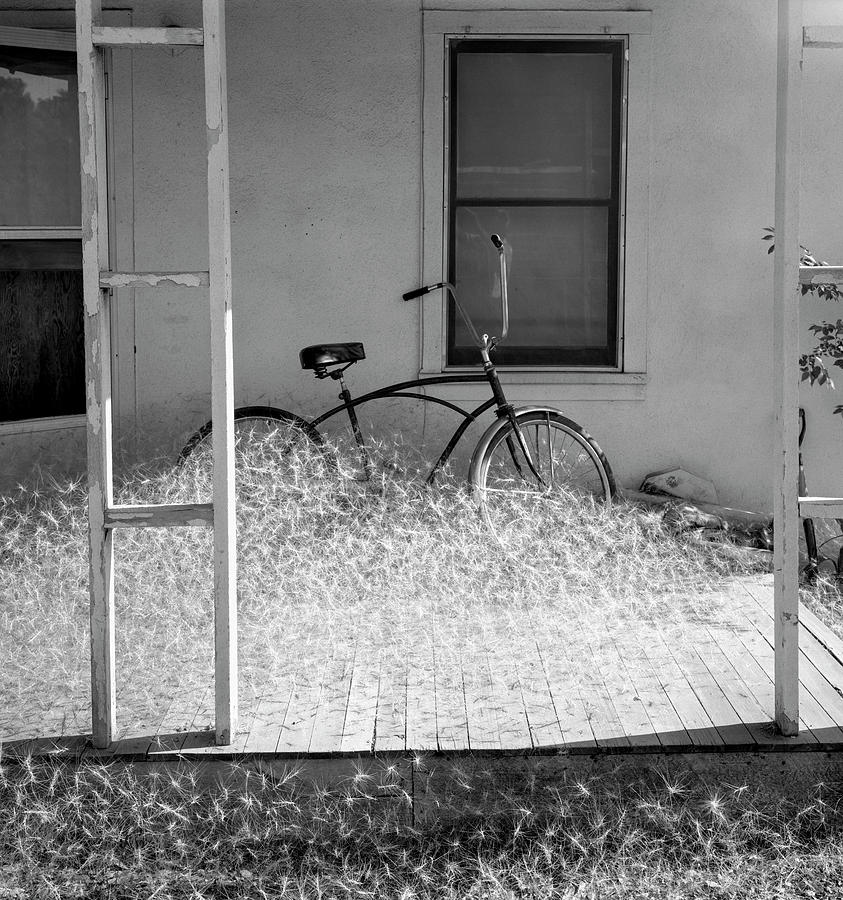 Heap Of Milkweed Seeds And A Bicycle Photograph by Panoramic Images