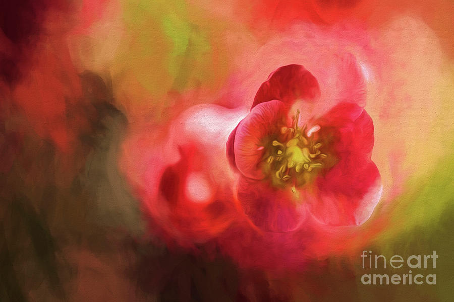 Flowering Quince Photograph - Heart Centered Love by Mary Lou Chmura