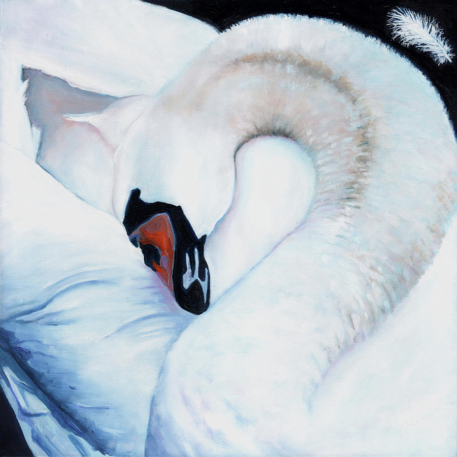Swan Painting - Heart-centred by Helen White Swan Painting - Heart-centred by Helen White