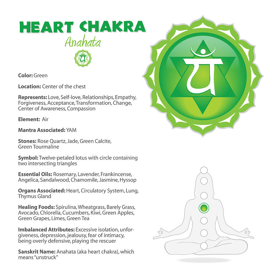 Heart Chakra Chart Illustration Digital Art by Serena King