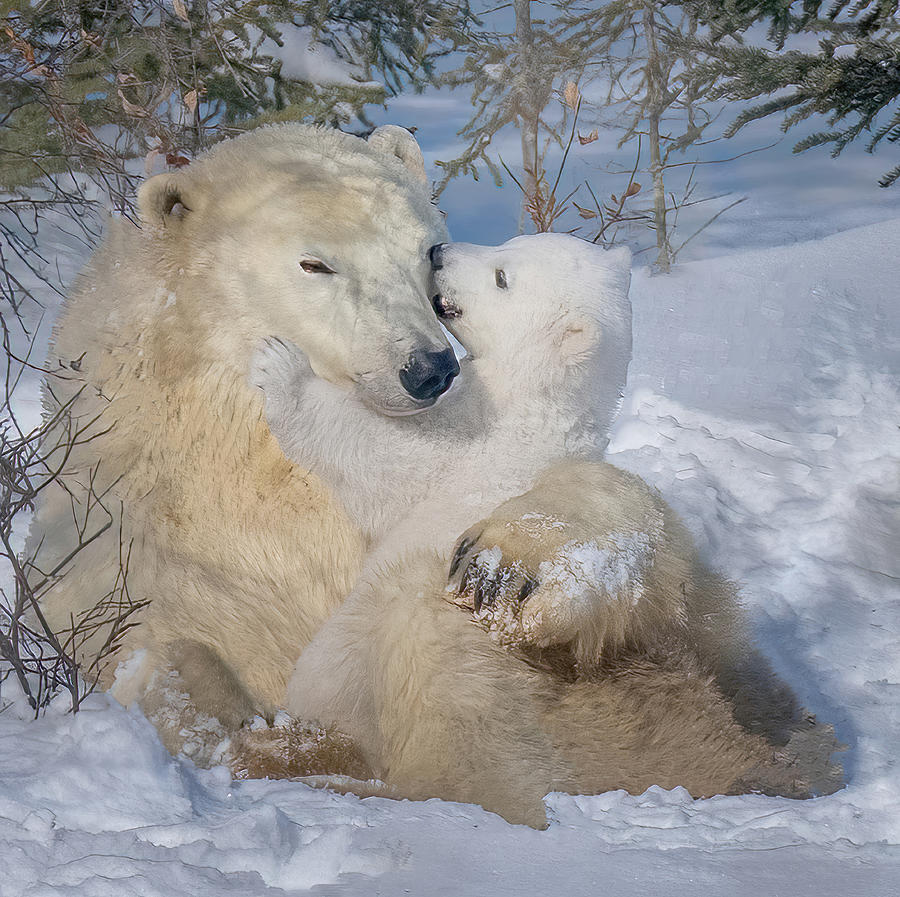 Heart Melted Photograph by Yuan Su