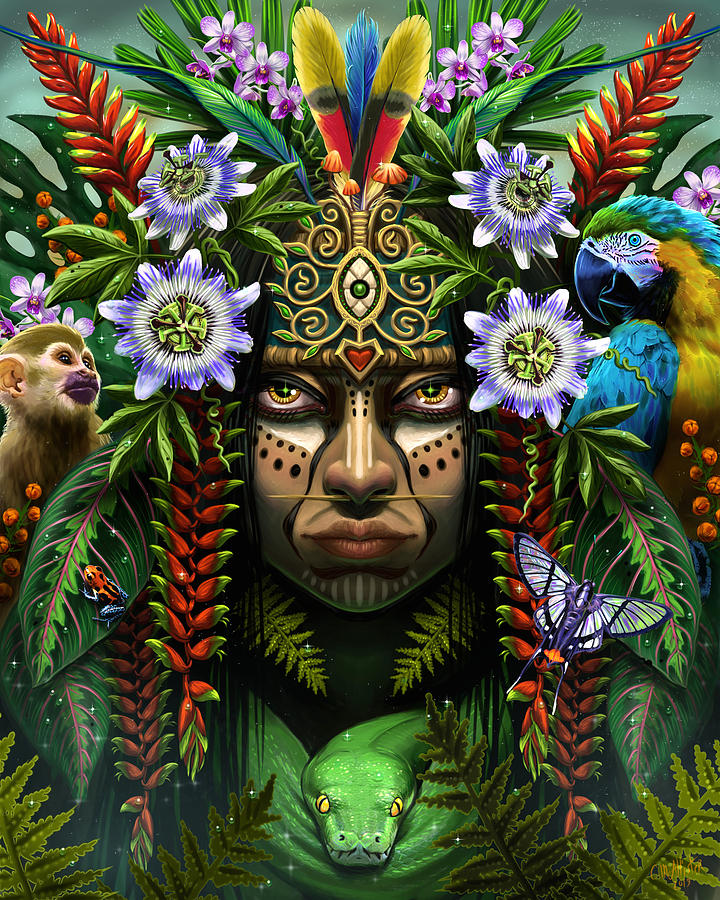 Heart of the Amazon by Cristina McAllister Heart of the Amazon by Cristina McAllister