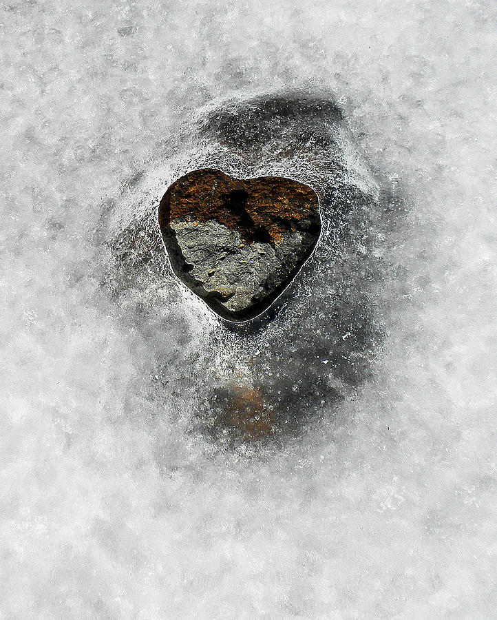 Heart on Ice Photograph by Neil Pankler