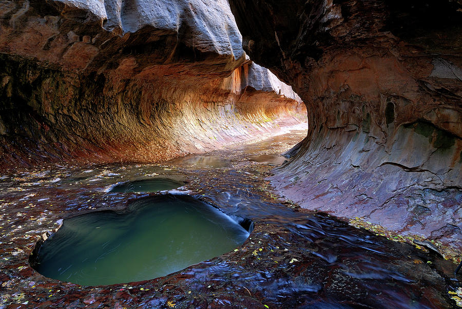 Heart Pool In Zion National Park Photograph by Vittorio Ricci - Italy
