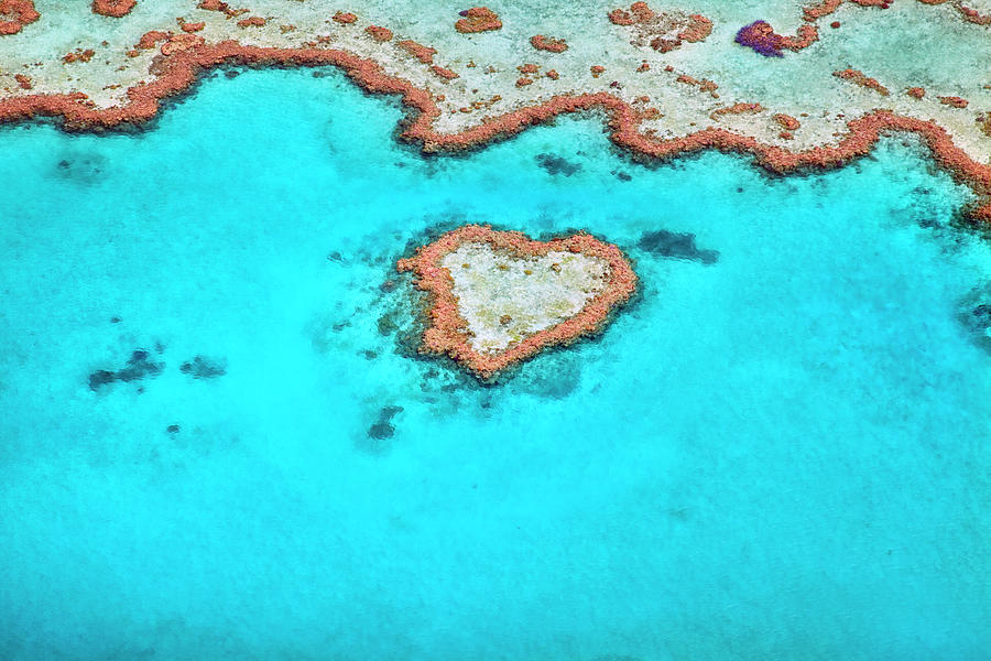 Heart Reef Photograph by Aaron Foster