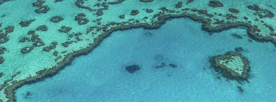 Heart Reef, Great Barrier Reef Photograph by Francesco Riccardo Iacomino
