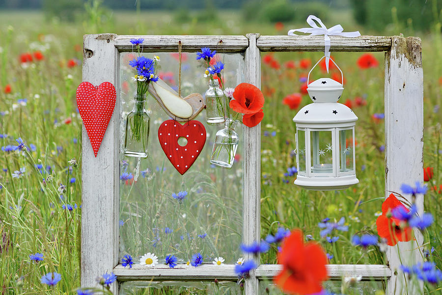 Heart-shaped Decorations, Cornflowers And Candle Lantern Adorning Window Frame In Poppy Field Photograph by Angelica Linnhoff