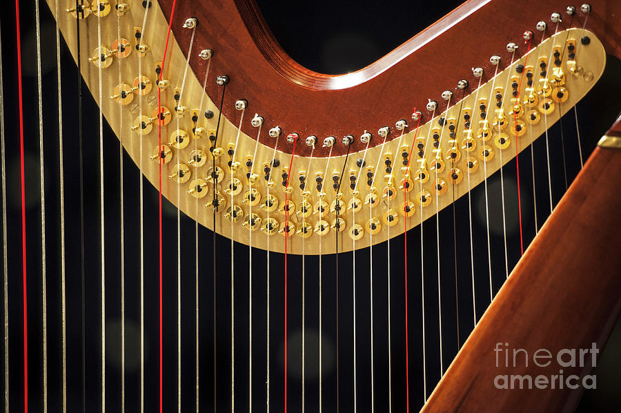Chromatic Photograph - Heart Shaped Harp by 