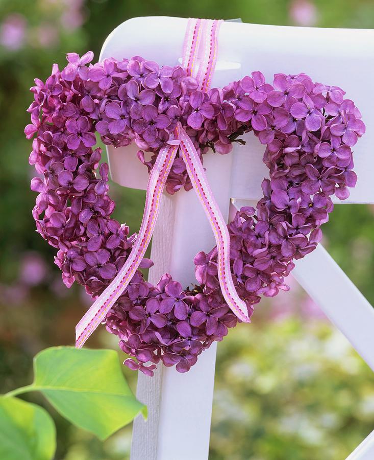 Heart-shaped Lilac Wreath Tied To Chair Back Photograph by Friedrich Strauss