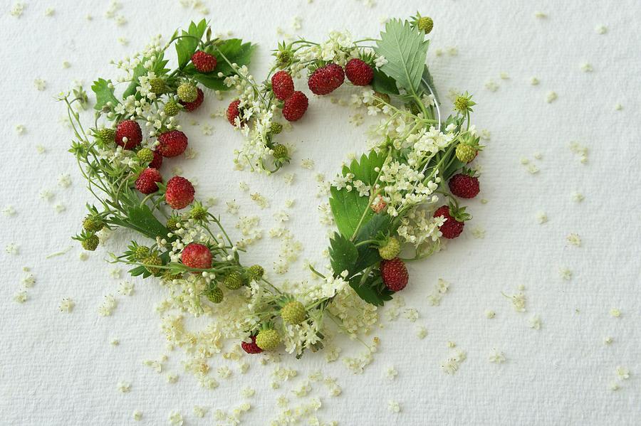Heart-shaped Wreath Of Wild Strawberries And Elderflowers Photograph by Martina Schindler