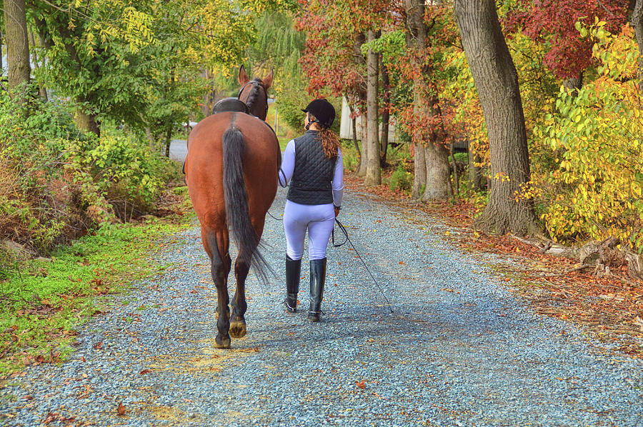 Heart To Heart Photograph by Dressage Design