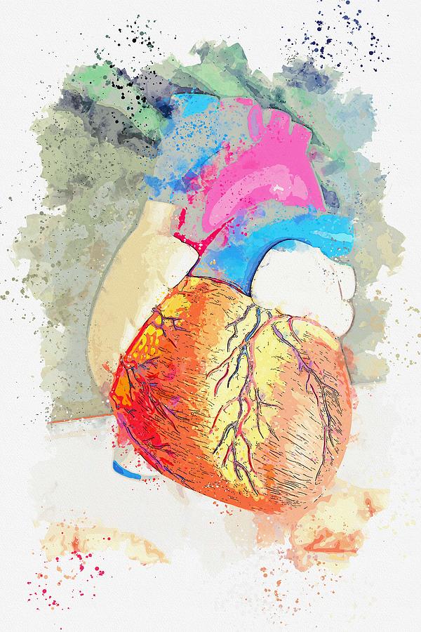 heart -  watercolor by Adam Asar Painting by Celestial Images