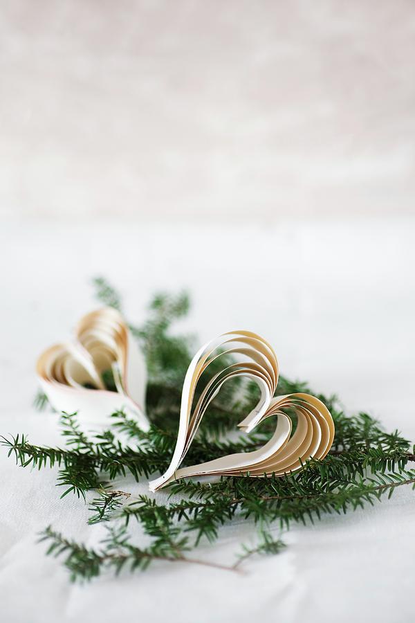 Hearts Made From Strips Of Paper On Fir Sprig Photograph by Alicja Koll