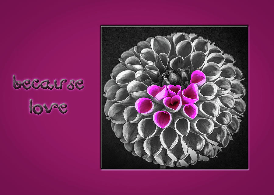 Hearts on Dahlia Flower Notecard by Veronika Countryman Hearts on Dahlia Flower Notecard by Veronika Countryman