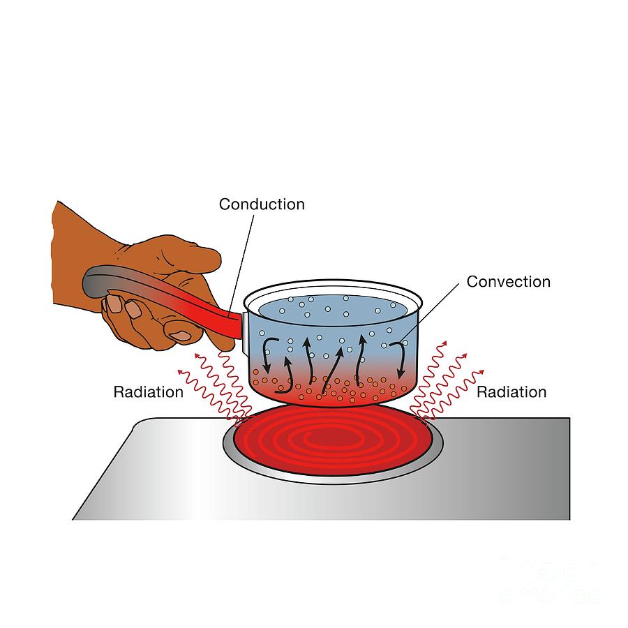 Heat Transfer In A Pan On A Stove Photograph by Science Photo Library ...