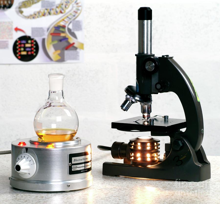 Heating Mantle And Light Microscope Photograph by Martyn F. Chillmaid/science Photo Library