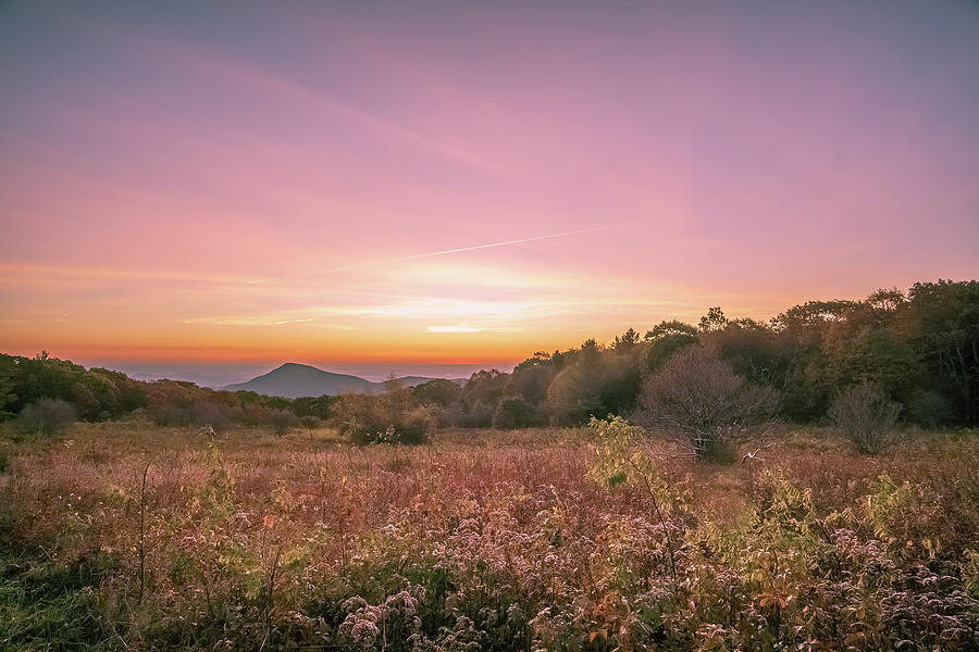 Heaven Photograph by Christian Mullin - Pixels