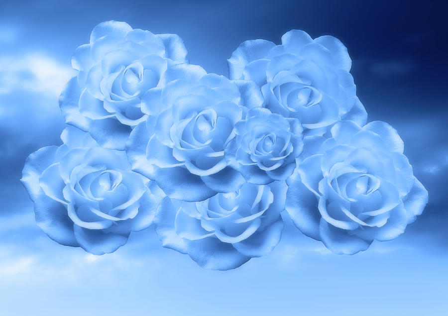 Heavenly Light Blue Roses Mixed Media by Johanna Hurmerinta