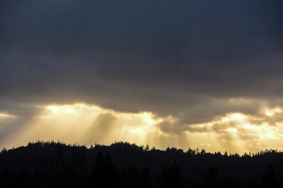 Heavenly Rays Photograph by Shelby Erickson