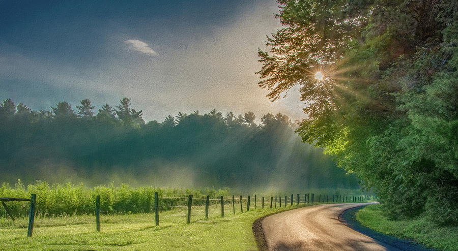 Heavenly Sunlight, Painterly Photograph by Marcy Wielfaert