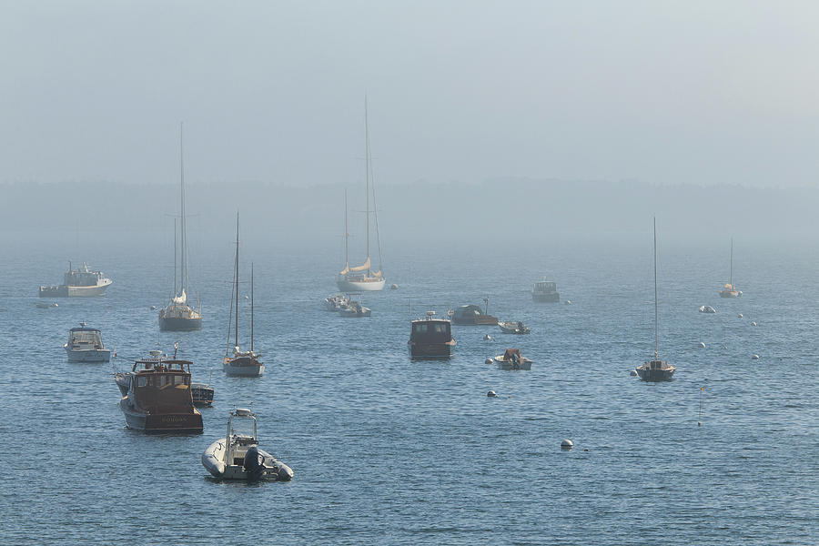 Heavy Fog at Seal Harbor Photograph by Stefan Mazzola