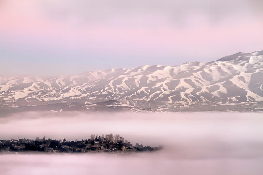 Reno Photograph - Heavy Fog at Sunrise by Donna Kennedy
