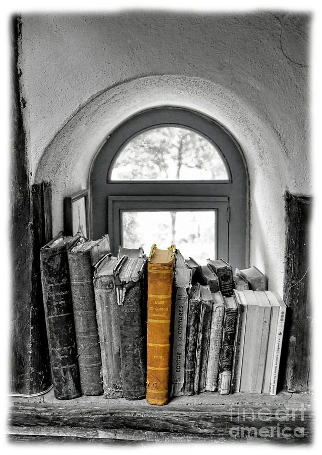 Heavy Reading In Sustag II Photograph by Al Bourassa