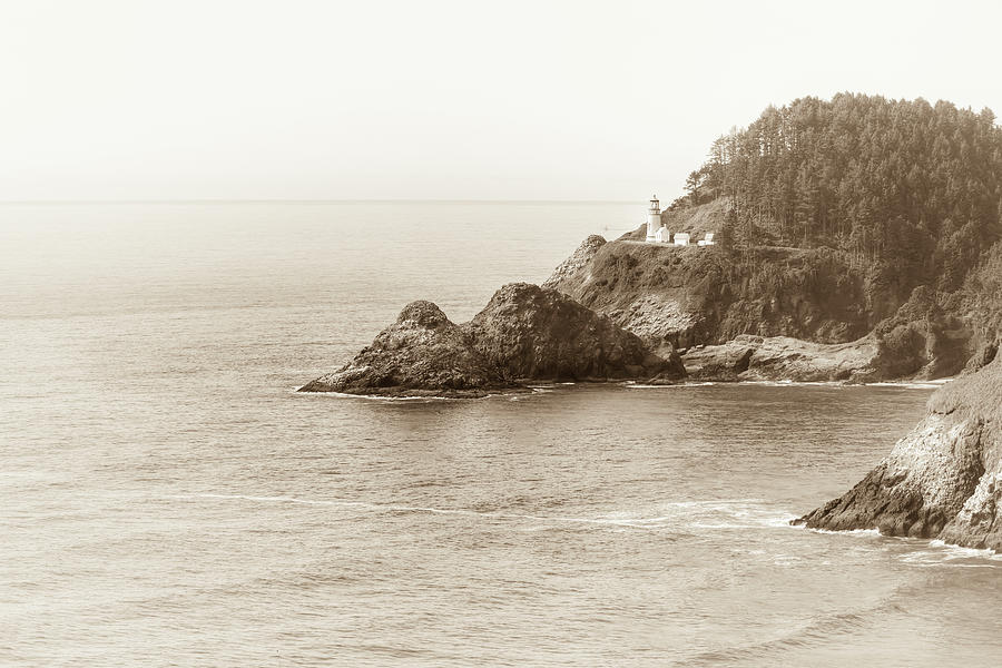 Heceta Head in Sepia 0968 Photograph by Kristina Rinell
