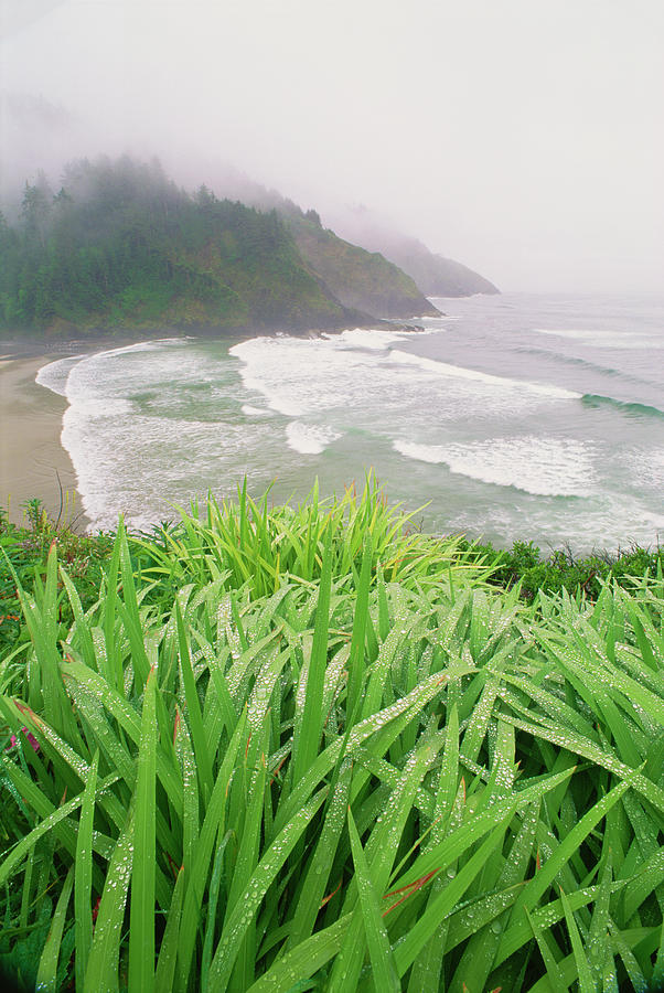 Heceta Head Is A Headland On The Photograph by Mint Images - David Schultz