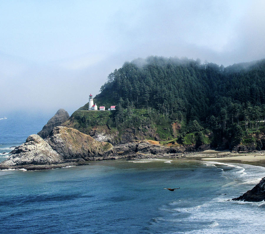 Heceta Head Lighthouse Photograph by Colleen Thompson - Fine Art America