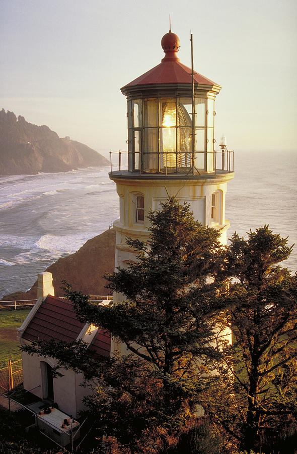 Heceta Head Lighthouse Photograph by Wbritten