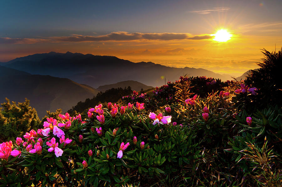 Hehuan Mountain Sunrise Photograph by Jun - Fine Art America