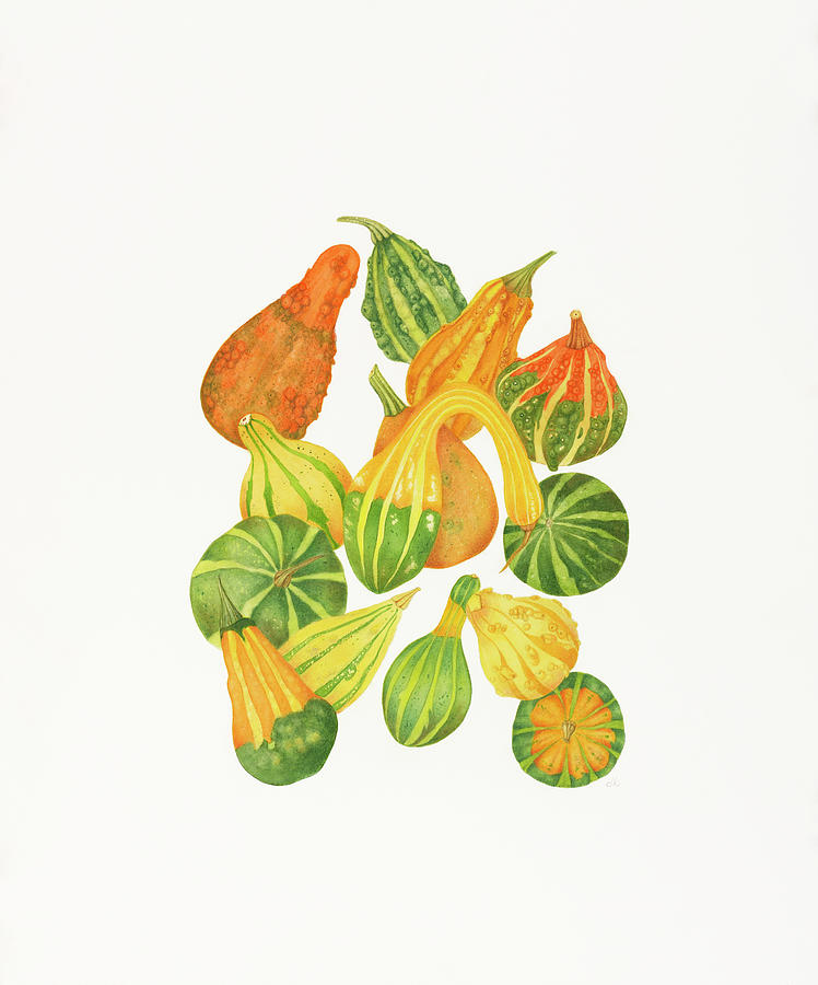 Vegetable Painting - Heirloom Gourds by Deborah Kopka