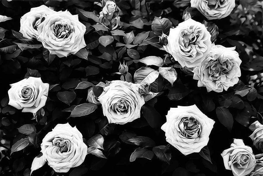 Heirloom Rose Bunch Black And White Photograph by Gaby Ethington